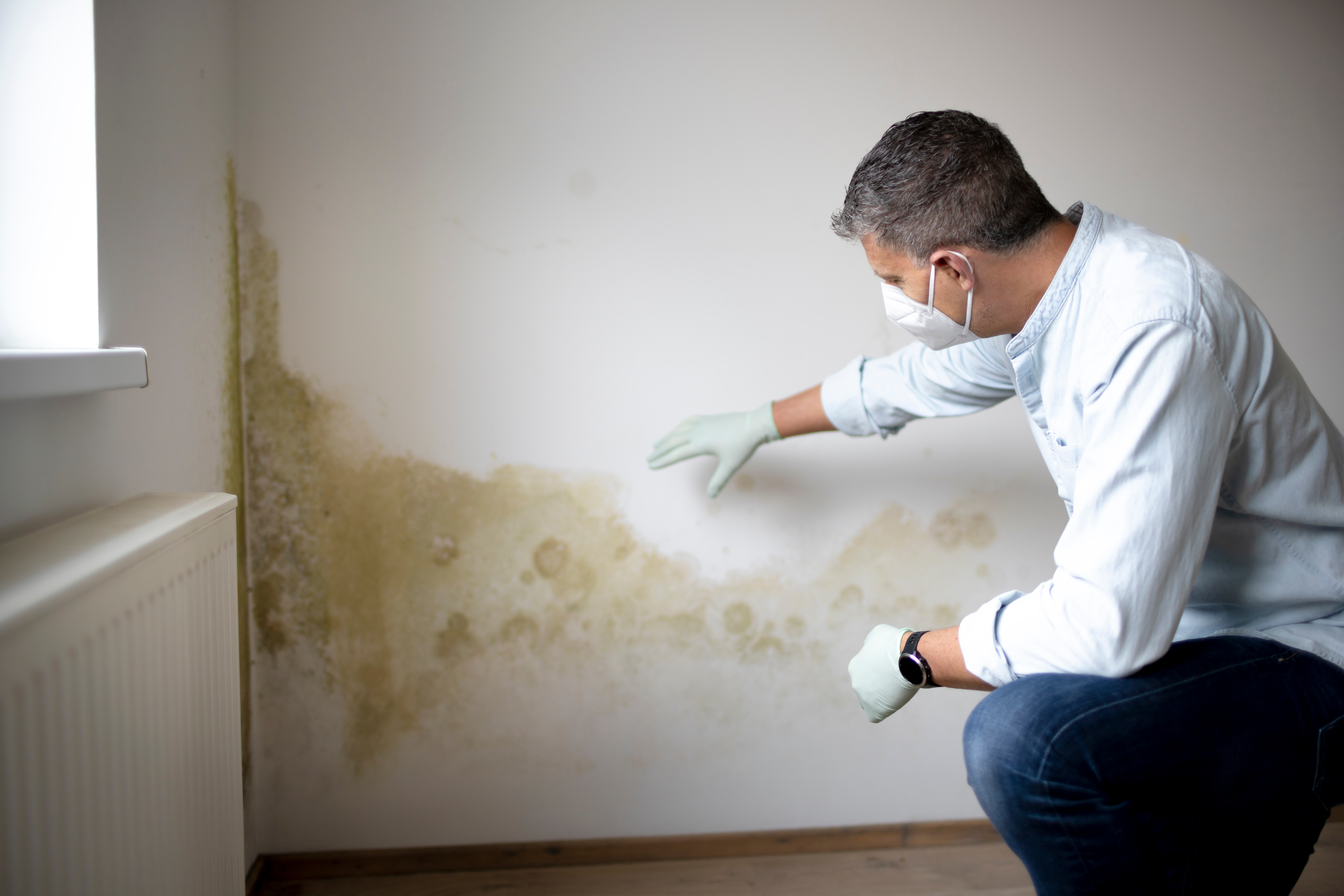 What to Do If You Suspect Mold in Your Rental Home
